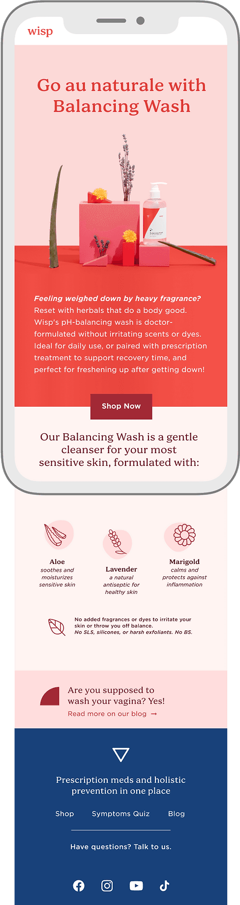 Wisp campaign application